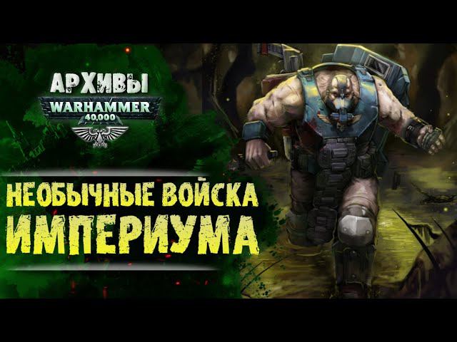 Генетически улучшенные полки Имперской Гвардии. Старая Сотня. Гено 5-2 Хилиад. Черные Люциферы. смотреть онлайн