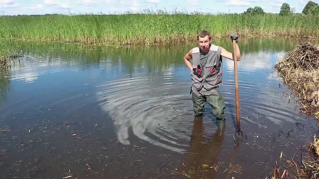Превратили болото в уютную озерную бухту! смотреть онлайн