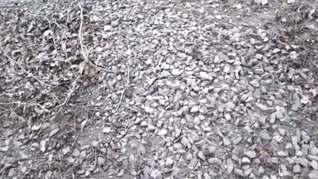 КОРМЛЮ КОТОВ НА ДАЧЕ смотреть онлайн