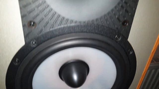 Paradigm Monitor 5 v3 Quality Test смотреть онлайн