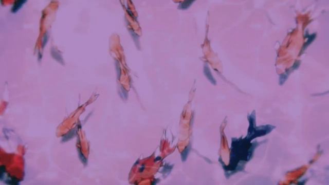 ⋘flëur - шелкопряд⋙ Slowed + Reverb