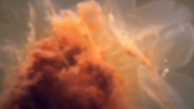 Белое море. Медузы смотреть онлайн