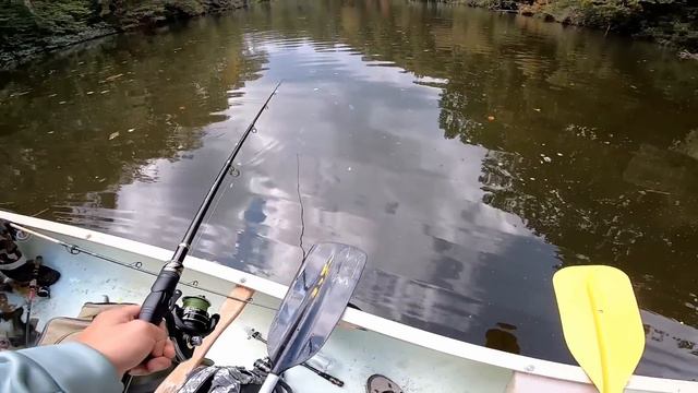 I Bought Amazon's BEST RATED Telescopic Rods! смотреть онлайн