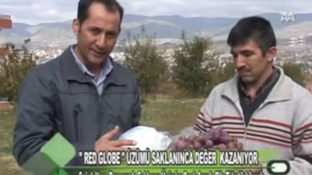 Red Globe Üzümü Saklanınca Değer Kazanıyor 14.11.2011.wmv смотреть онлайн