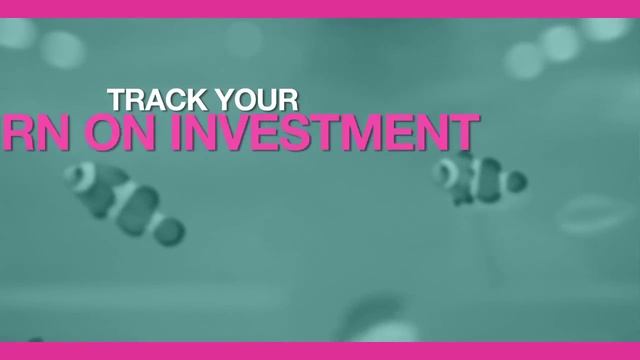 The Miami SEO Company - Web Design & Online Marketing Services смотреть онлайн