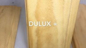 Пропитки для стен в бане и сауне - чем обработать стены в парной?Большой тест пропиток.