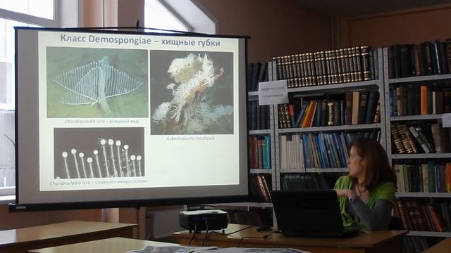 Биоразнообразие губок (Porifera). Губки озера Байкал (ЛИН СО РАН) смотреть онлайн