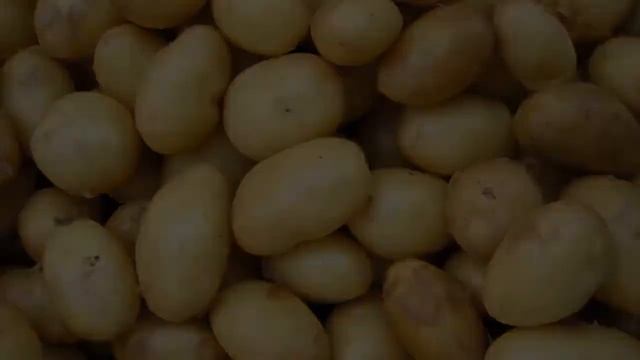 Картофель Адретта Вкусовые Качества смотреть онлайн