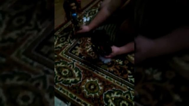 Девочка с чёрными ногтями смотреть онлайн