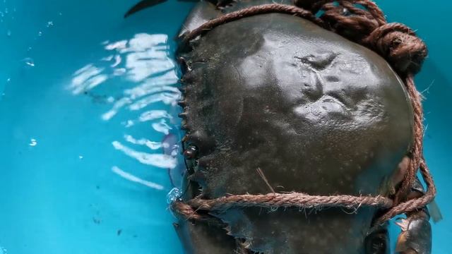 crab смотреть онлайн