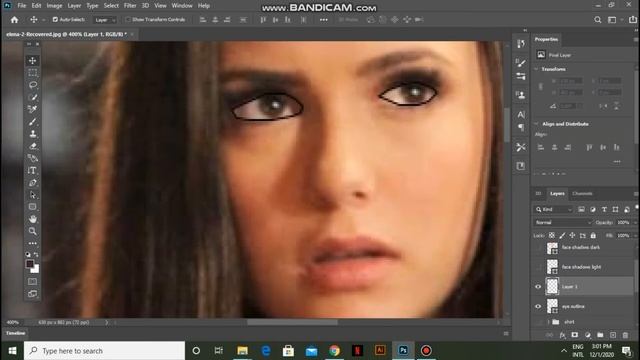 Elena Gilbert Vector Drawing - Graphic Designing - Adobe Photoshop