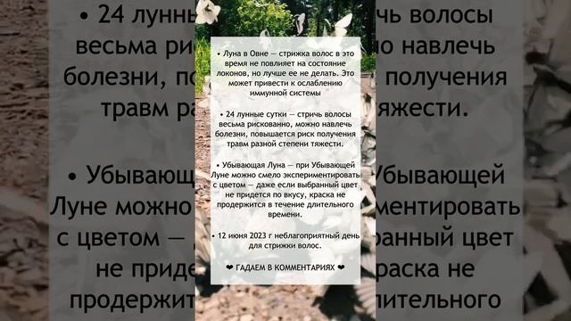 Лунный календарь стрижек на 12 июня смотреть онлайн