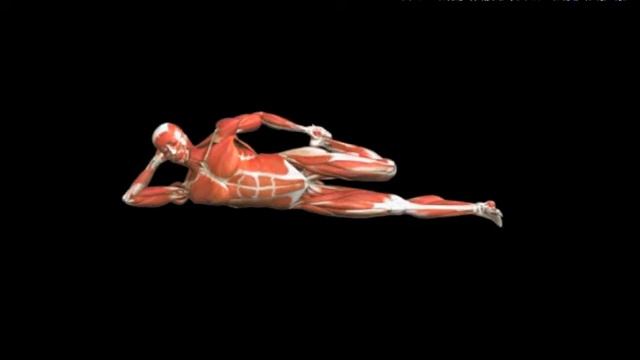 Растяжка мышц бедра лежа на боку Thigh Stretch Lying Side смотреть онлайн