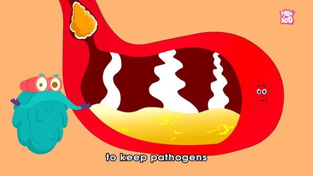 Why Appendix Burst? | APPENDIX | Dr Binocs Show | Peekaboo Kidz