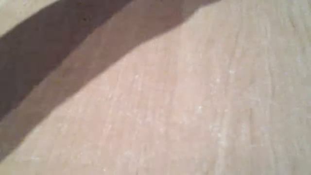 Кормление котенка . Котенок зашкаливает барометр  милоты