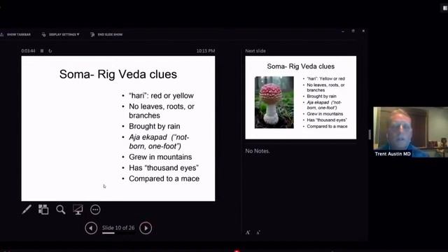 Radical Mycology 5-Year Anniversary: A Fly Agaric (Amanita muscaria) Round Table Discussion смотреть онлайн