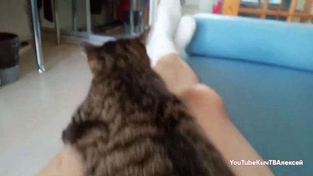 Как удовлетворить "Девочку ". How to satisfy the "Girl". смотреть онлайн