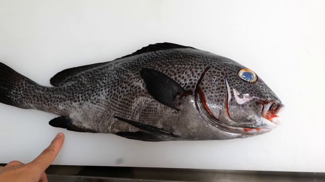 総額130万円の最強カメラで水中撮影したら別世界だった。 смотреть онлайн