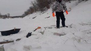 Ловим бобра на морковку| Охота на бобра зимой