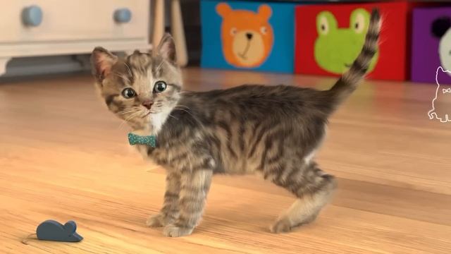Little Kitten Preschool Adventure Educational Games iOS Play Fun Cute Kitten Pet Care #kitten смотреть онлайн