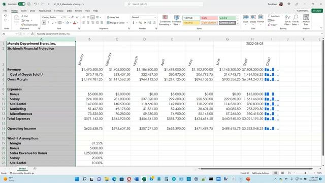 Excel Module 3, Video 3 of 5 смотреть онлайн