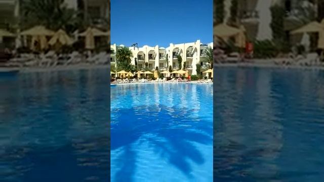 EDEN STAR 4 Тунис ДЖЕРБА ЗАРЗИС смотреть онлайн