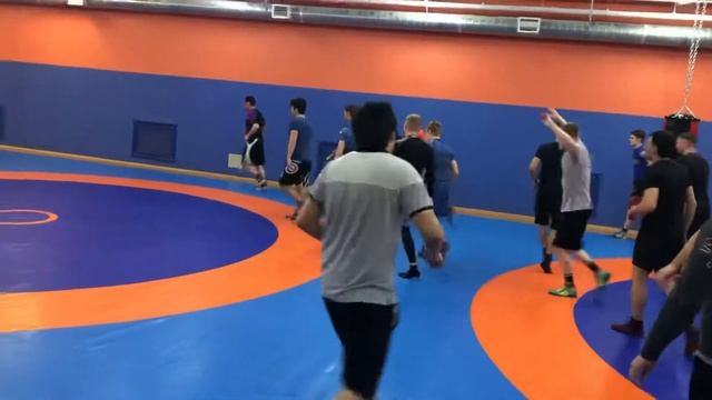 Вольная борьба в Домодедово смотреть онлайн