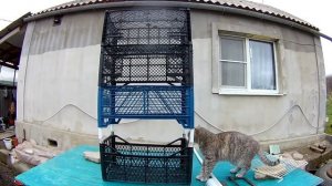 Парник из пластиковых ящиков своими руками. Полка для рассады из пластиковых ящиков.