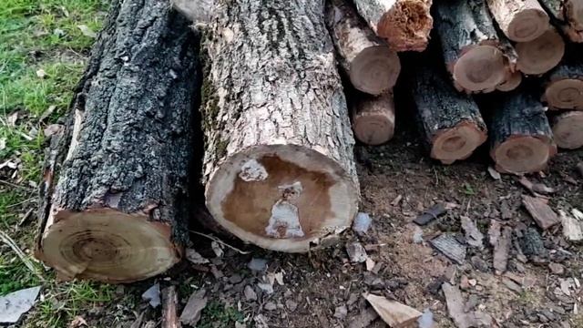 САВЕЛИЙ АД - КОЛЯ ЗАСТЕГНИ МНЕ ЛИ%ЧИК. МАТЬ ХОЧЕТ КАРТУ БАНКА КАК У НАДИ