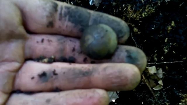 Коп часть 7.Царские пуговицы,знак Отличия на головной убор.X-TERRA 705 смотреть онлайн