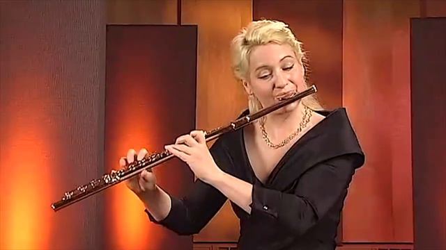 Telemann Fantasia 6 for Flute in D Minor смотреть онлайн