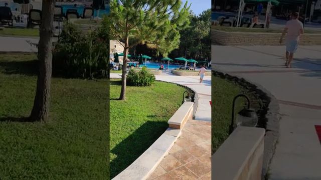 Amara Club Marine - Gypsophila Club Marine 5