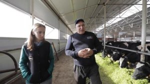 Как работает роботизированная молочная ферма? Роботы заменят человека на ферме?