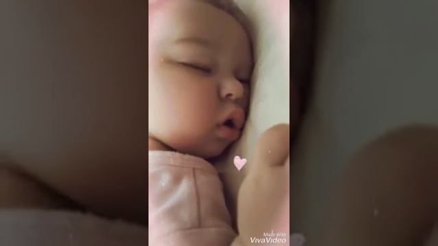 7 месяцев 🌸 лапе🧡 смотреть онлайн