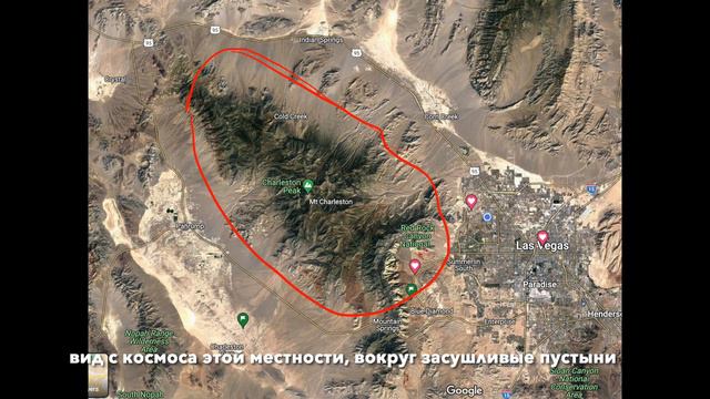 СНОВА В ПОХОД НА ЧАРЛСТОН. смотреть онлайн