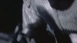 Пикник Инкогнито Эквилибриум