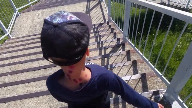 В ПОИСКАХ ПОЕЗДОВ / Загрузка вагонов / Рельсовый автобус / Маневровый / Поезд дальнего следования смотреть онлайн