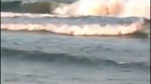 Джемма Халид.  "Девушка из Нагасаки"