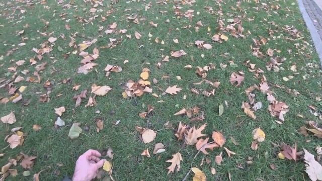 Прогулки по Киеву. Владимирская Горка. Праздник Желудя. Дача Хрущева (особняк Октавиана Бельского) смотреть онлайн