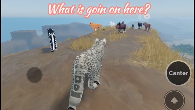 NEW ROBLOX GAME? A LIONS PRIDE WIP WCUE DEVELOPMENT AND TEST? (READ DESC) смотреть онлайн
