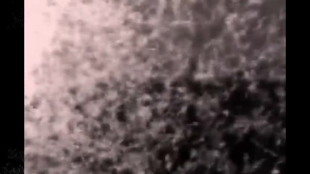 EL EXPERIMENTO QUE SALIÓ MAL - El enjambre (The Swarm Analog Horror) смотреть онлайн