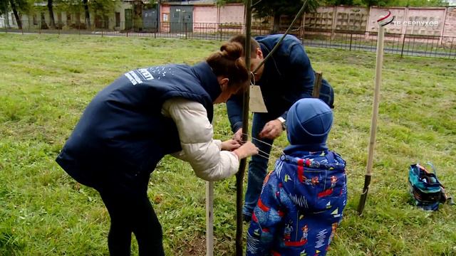 В Серпухове началась ежегодная акция «Наш лес. Посади свое дерево»