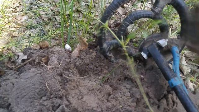 15 копеек 1967 года 50 лет советской власти коп 17 06 2021 года смотреть онлайн