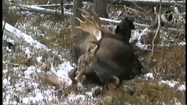 ЛОСЬ смотреть онлайн