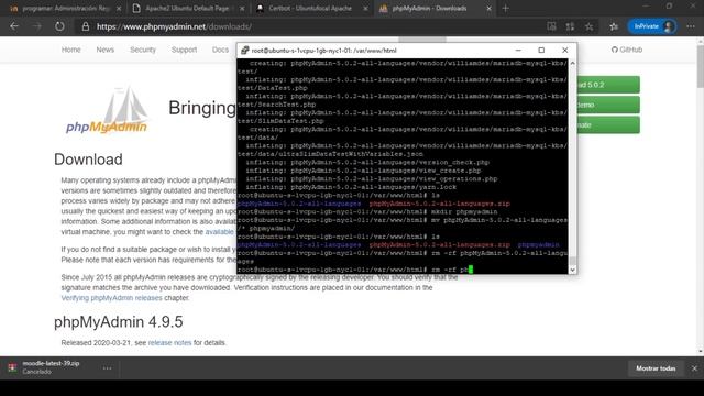 Como instalar la plataforma Moodle en Server Ubuntu/Debian - 2021 смотреть онлайн