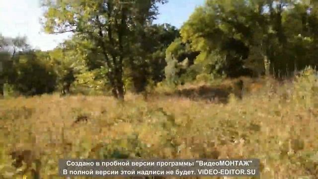 земельный участок под ИЖС с своим берегом, лес, в селе Иваномихайловка Днепропетровской обл. смотреть онлайн