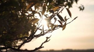 СИЛЬНАЯ УТРЕННЯЯ МЕДИТАЦИЯ для души и тела | АФФИРМАЦИИ для начала нового дня |ПЕРЕЗАГРУЗКА