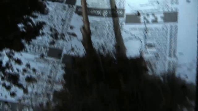 Залила азалию ☒ посадка азалии ❦ будет жить или нет ? субстрат для азалий чем заменить смотреть онлайн