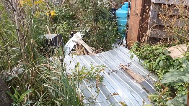 28.08.23. работаем... смотреть онлайн