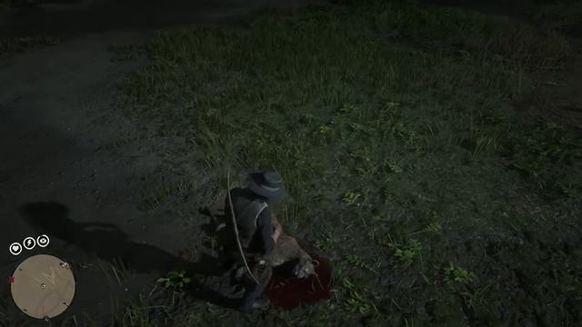 Red Dead Redemption 2 New (Panther) Location